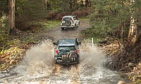 They just love splashing through water